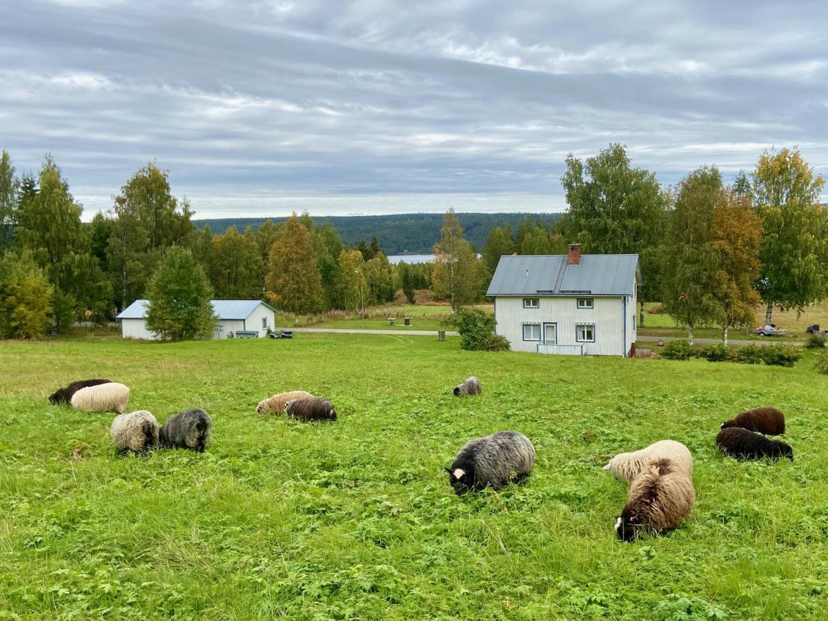 Vildmarksgard Lillviken Стрёмсунд Экстерьер фото