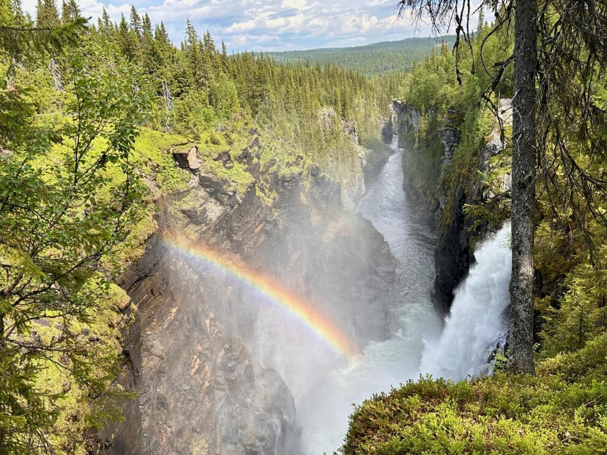 Vildmarksgard Lillviken Стрёмсунд Экстерьер фото