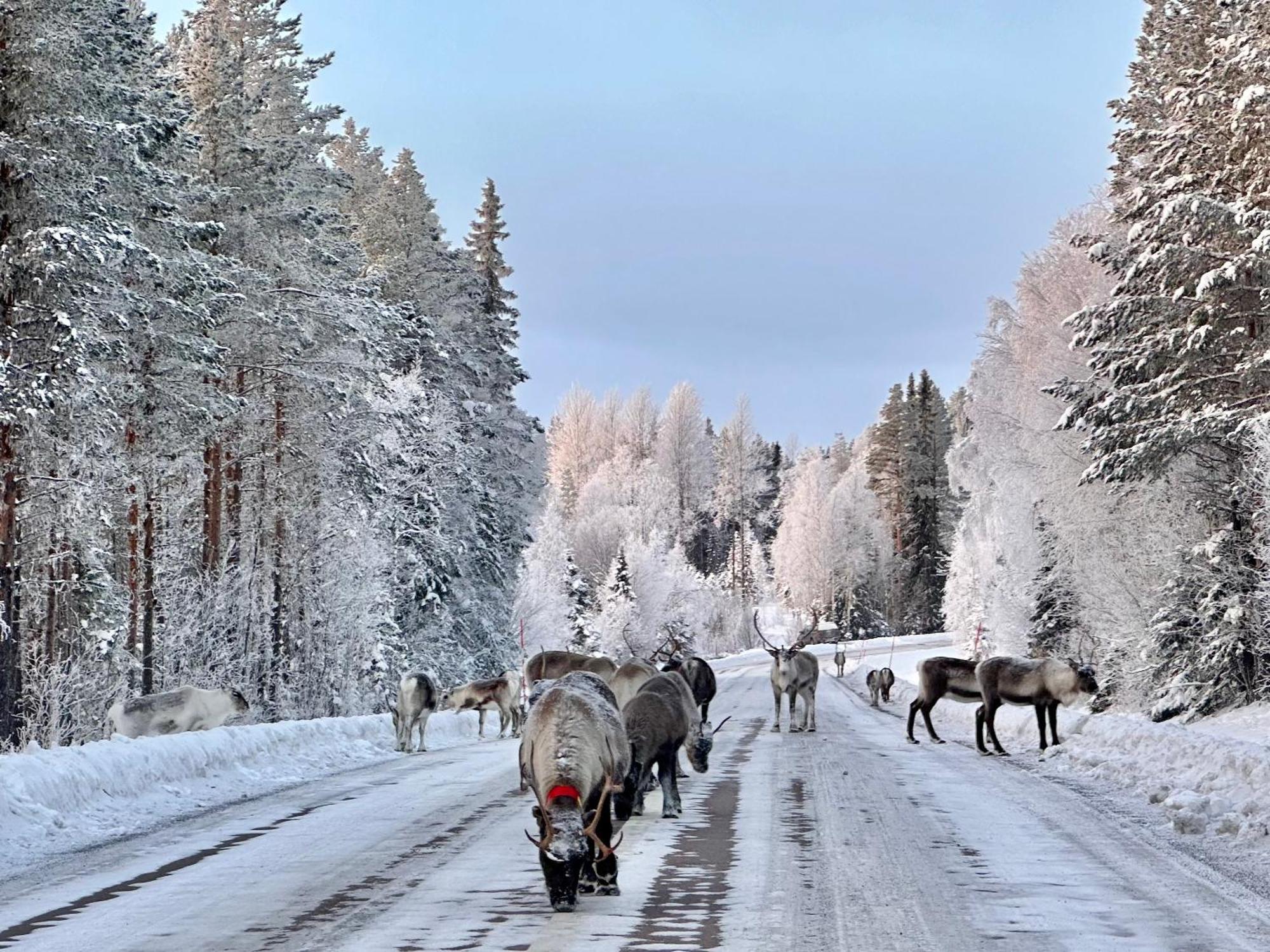 Vildmarksgard Lillviken Стрёмсунд Экстерьер фото